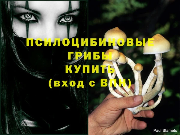 амф Белокуриха