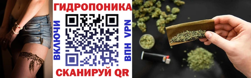 дарк нет наркотические препараты  где найти наркотики  Мичуринск  МАРИХУАНА сатива 